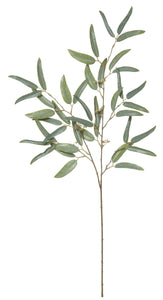 EUCALYPTUS SPRAY